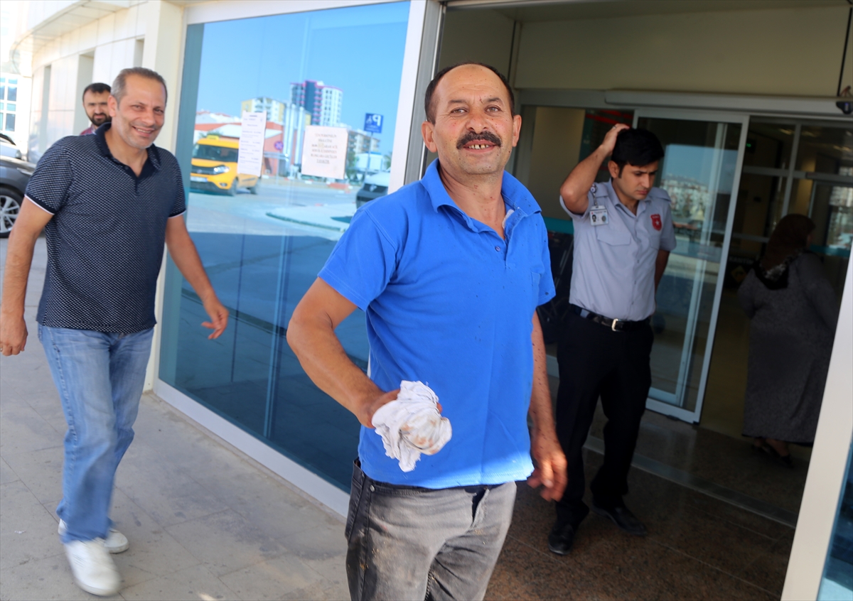 Türkiye'nin dört bir yanından 'acemi kasap' vakaları - 8