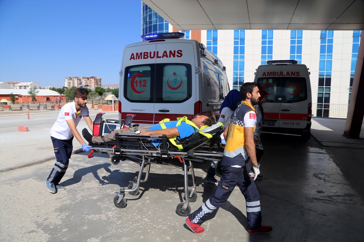 Türkiye'nin dört bir yanından 'acemi kasap' vakaları - 9