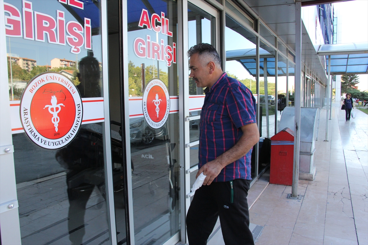 Türkiye'nin dört bir yanından 'acemi kasap' vakaları - 6