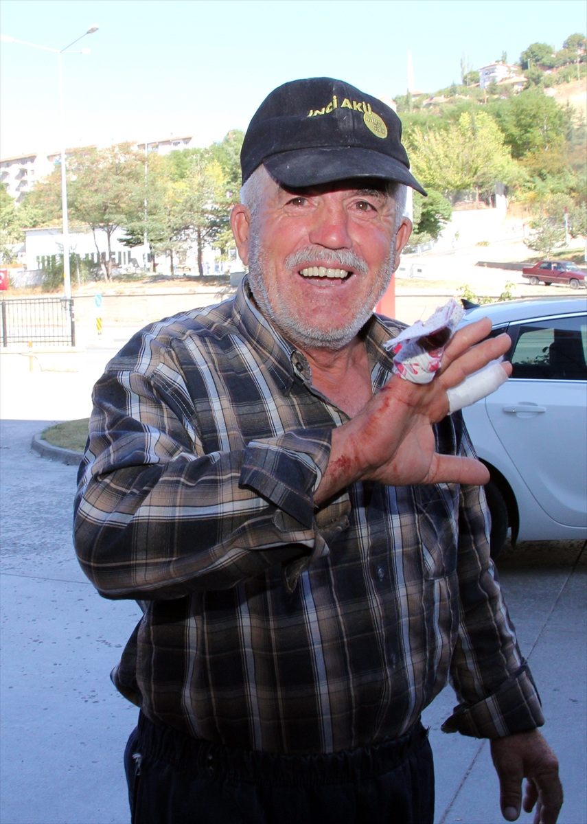 Türkiye'nin dört bir yanından 'acemi kasap' vakaları - 7