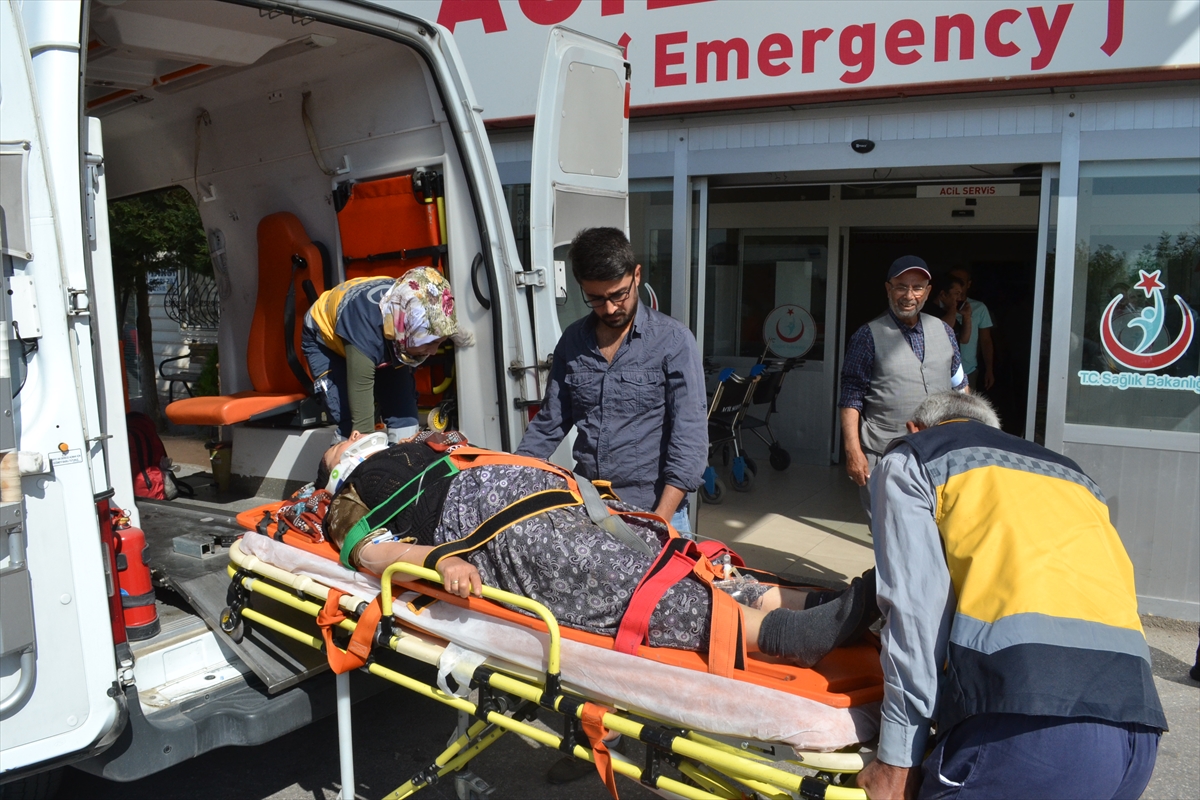 Türkiye'nin dört bir yanından 'acemi kasap' vakaları - 4