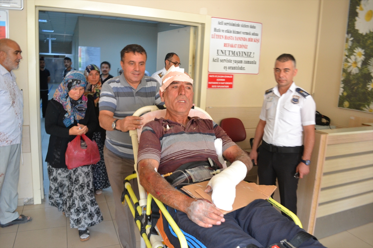 Türkiye'nin dört bir yanından 'acemi kasap' vakaları - 5