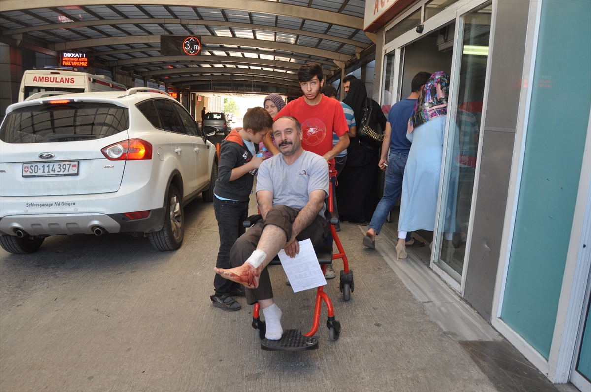 Türkiye'nin dört bir yanından 'acemi kasap' vakaları - 1