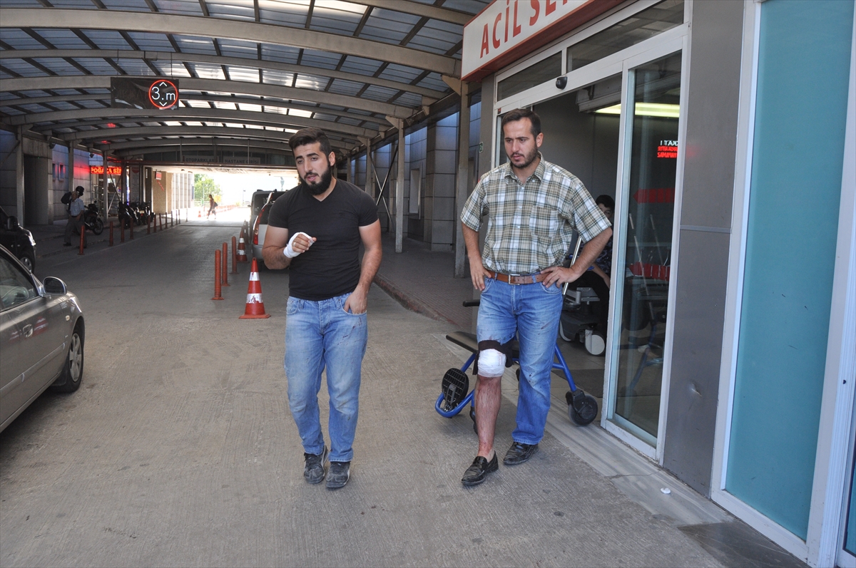 Türkiye'nin dört bir yanından 'acemi kasap' vakaları - 2