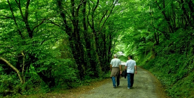 Tembellik raporu açıklandı! Türkiye kaçıncı sırada? - 4