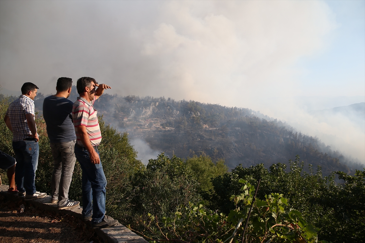 Muğla'daki orman yangını kontrol altına alındı - 1