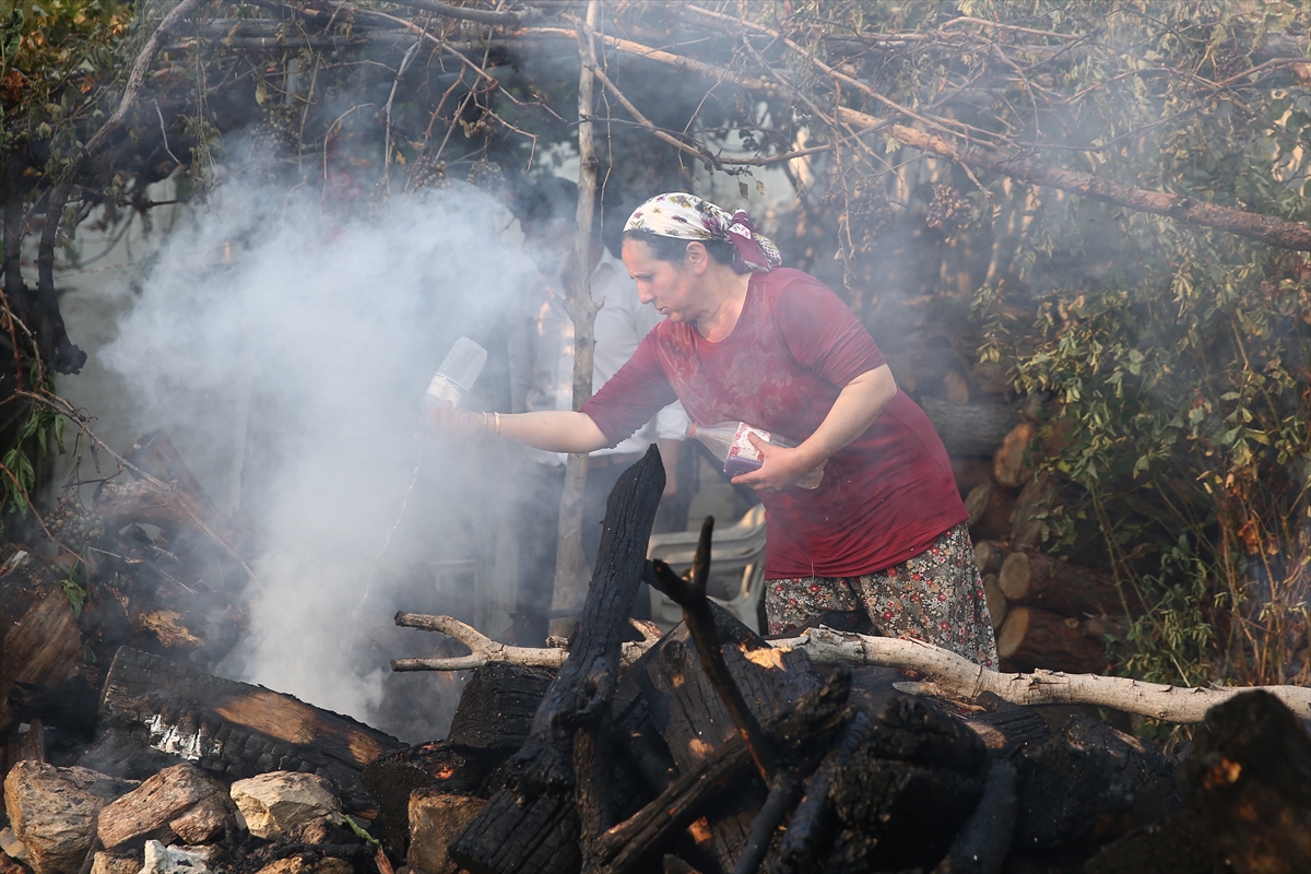 Muğla'daki orman yangını kontrol altına alındı - 2