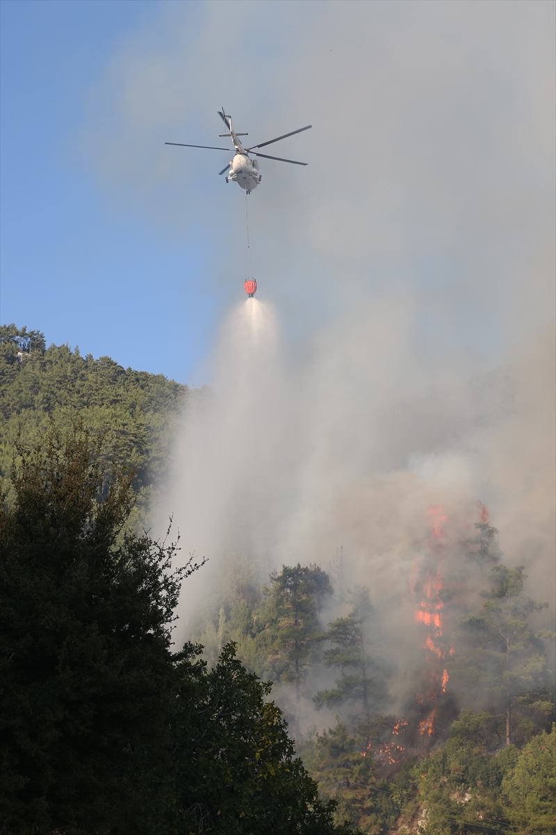 Muğla'daki orman yangını kontrol altına alındı - 3
