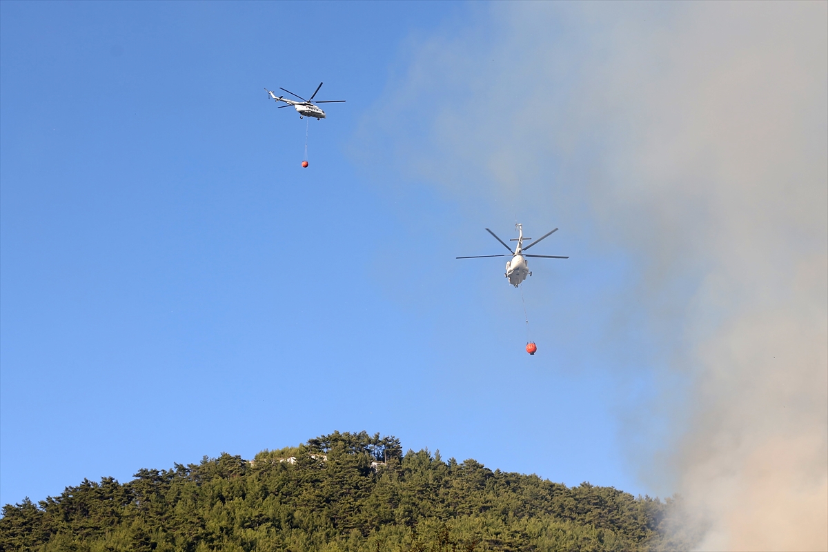 Muğla'daki orman yangını kontrol altına alındı - 4