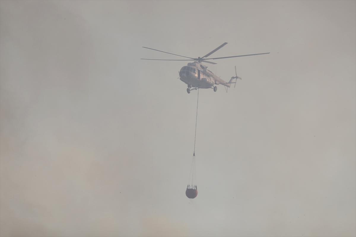 Muğla'daki orman yangını kontrol altına alındı - 9