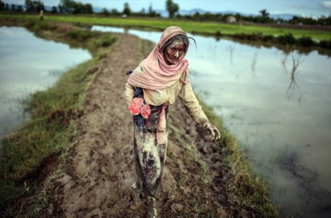 Arakan'da Müslümanların mücadelesi devam ediyor - 3