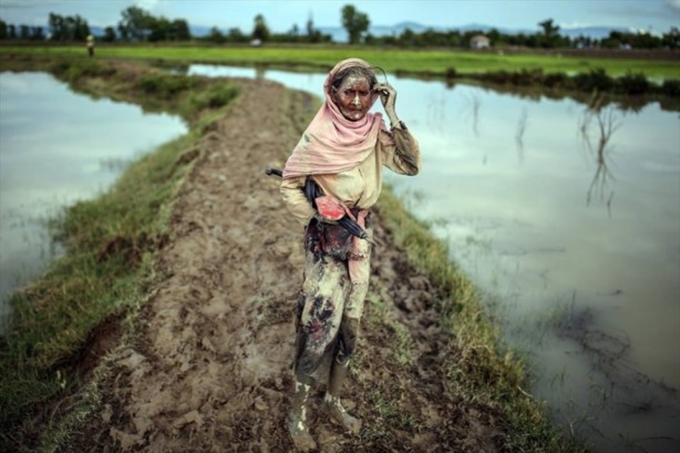 Arakan'da Müslümanların mücadelesi devam ediyor - 4