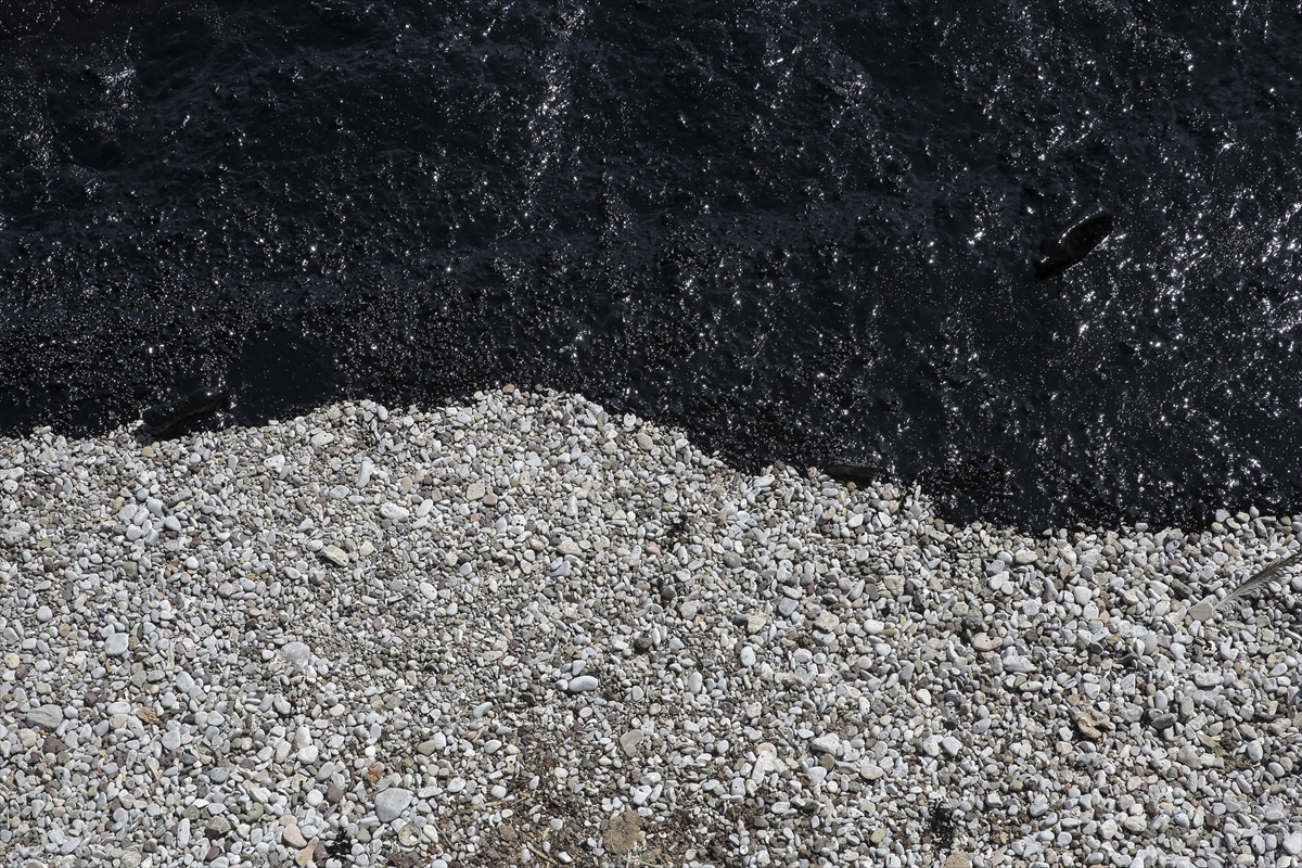 Yunan adasında sahil siyaha büründü - 4