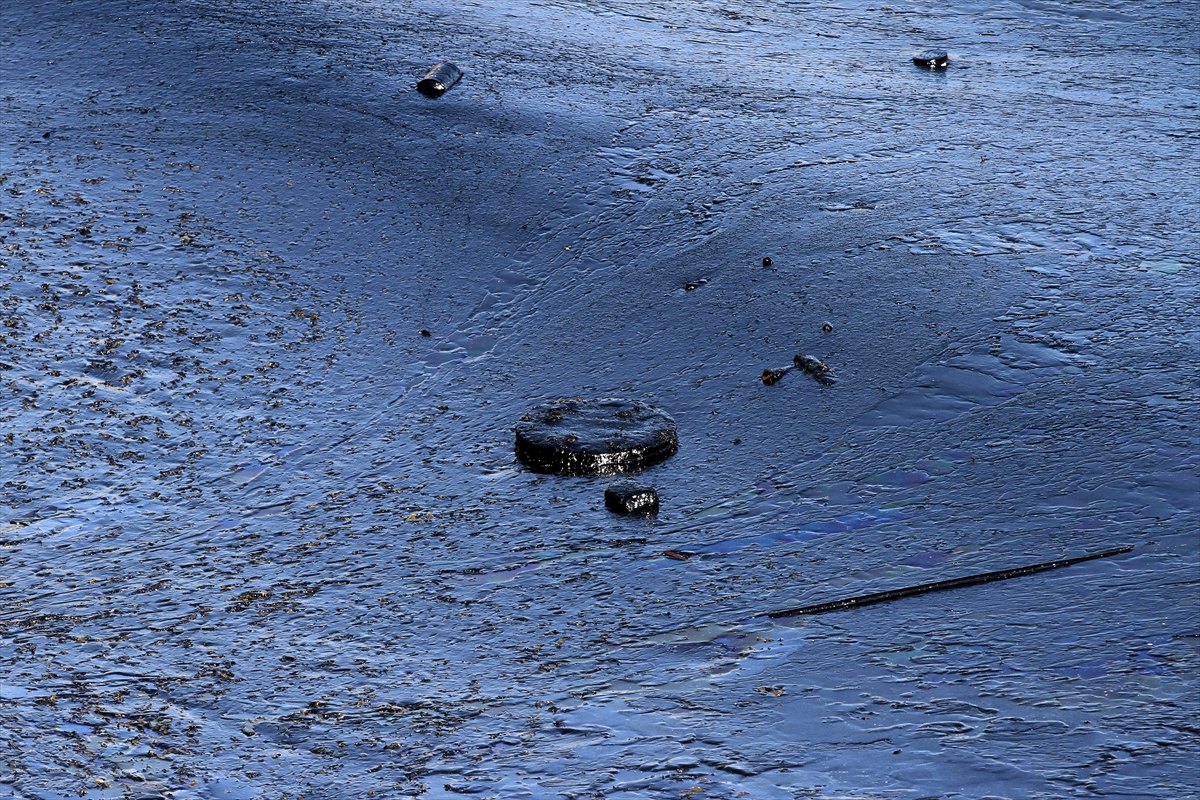 Yunan adasında sahil siyaha büründü - 12