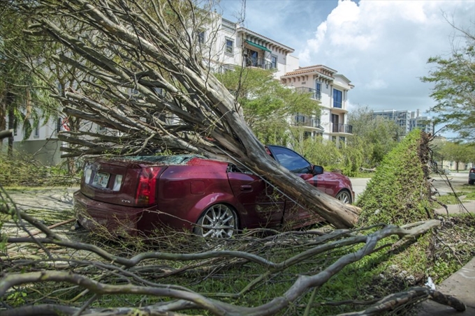 İşte Irma Kasırgası'nın etkileri - 4