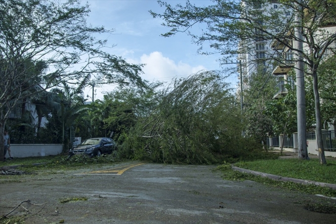 İşte Irma Kasırgası'nın etkileri - 5