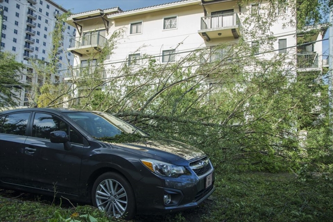 İşte Irma Kasırgası'nın etkileri - 6