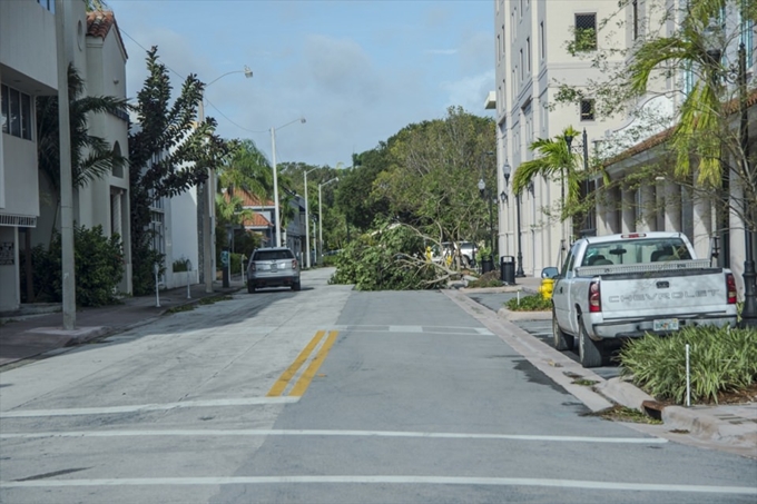 İşte Irma Kasırgası'nın etkileri - 7