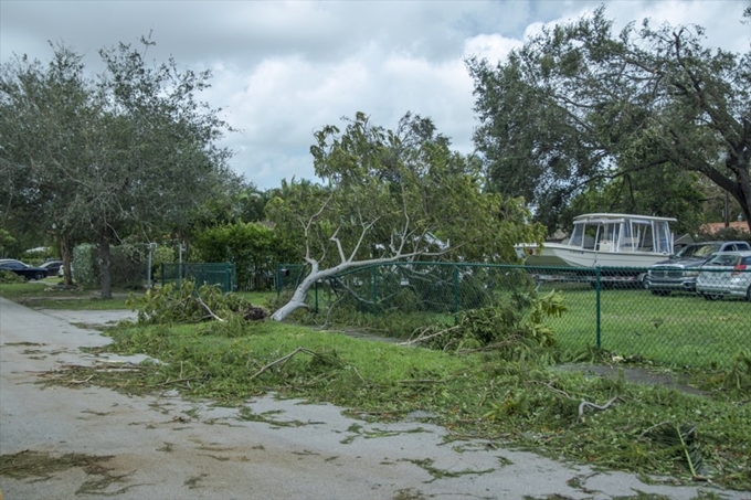 İşte Irma Kasırgası'nın etkileri - 9