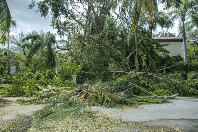 İşte Irma Kasırgası'nın etkileri - 11
