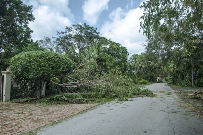 İşte Irma Kasırgası'nın etkileri - 12