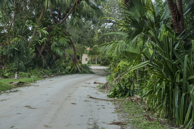 İşte Irma Kasırgası'nın etkileri - 13