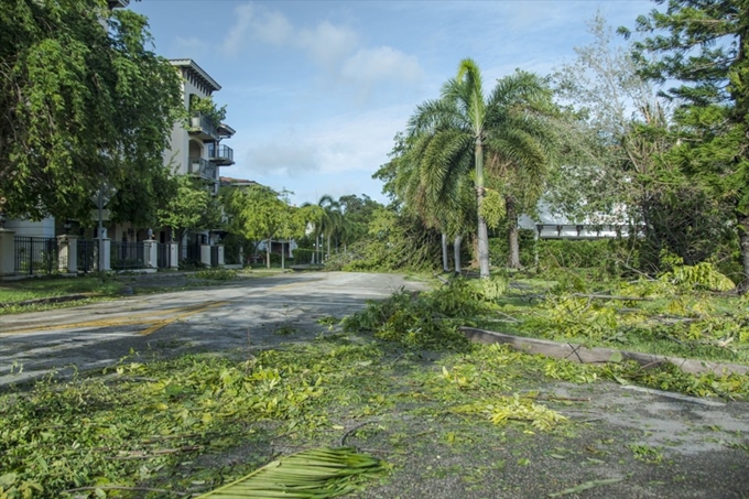 İşte Irma Kasırgası'nın etkileri - 14