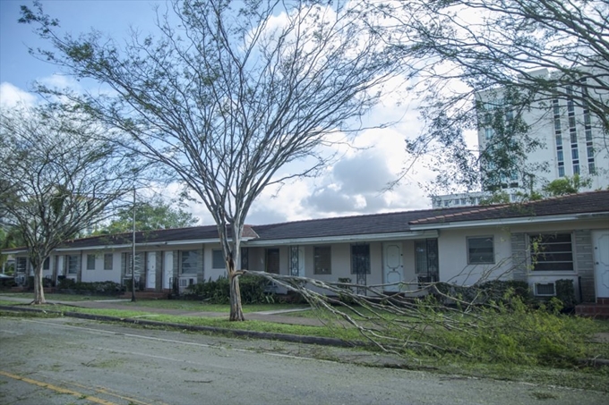 İşte Irma Kasırgası'nın etkileri - 15