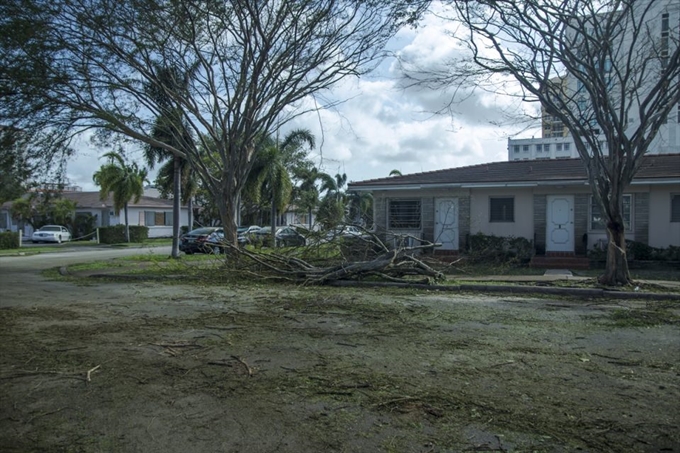 İşte Irma Kasırgası'nın etkileri - 17