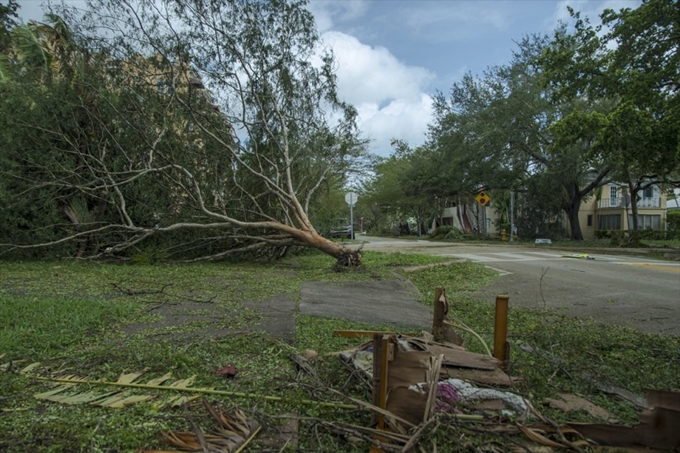 İşte Irma Kasırgası'nın etkileri - 20
