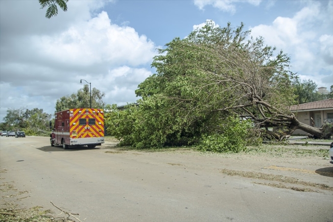 İşte Irma Kasırgası'nın etkileri - 21