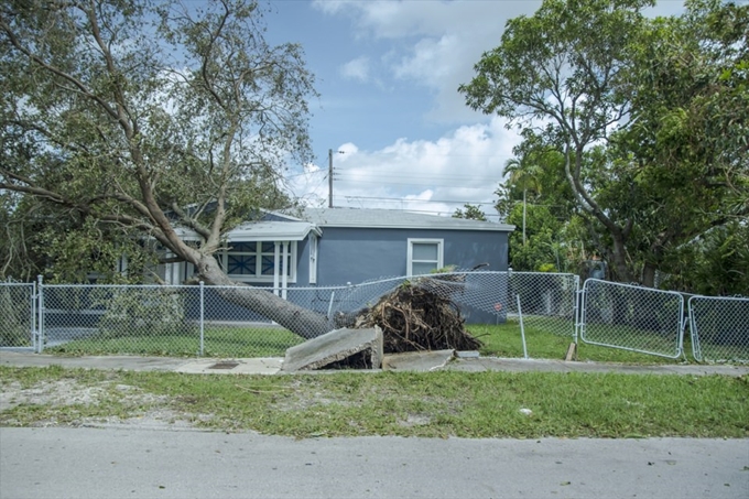 İşte Irma Kasırgası'nın etkileri - 22