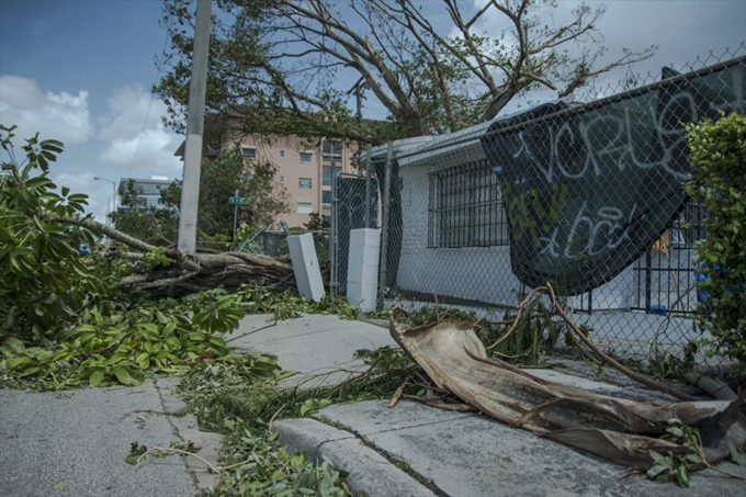 İşte Irma Kasırgası'nın etkileri - 23