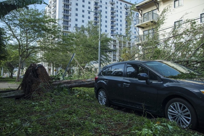 İşte Irma Kasırgası'nın etkileri - 24
