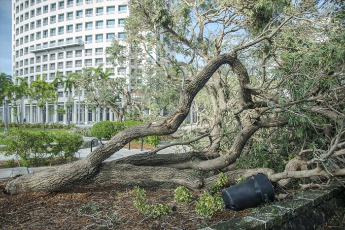 İşte Irma Kasırgası'nın etkileri - 25