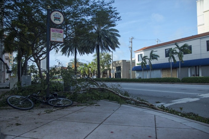 İşte Irma Kasırgası'nın etkileri - 27