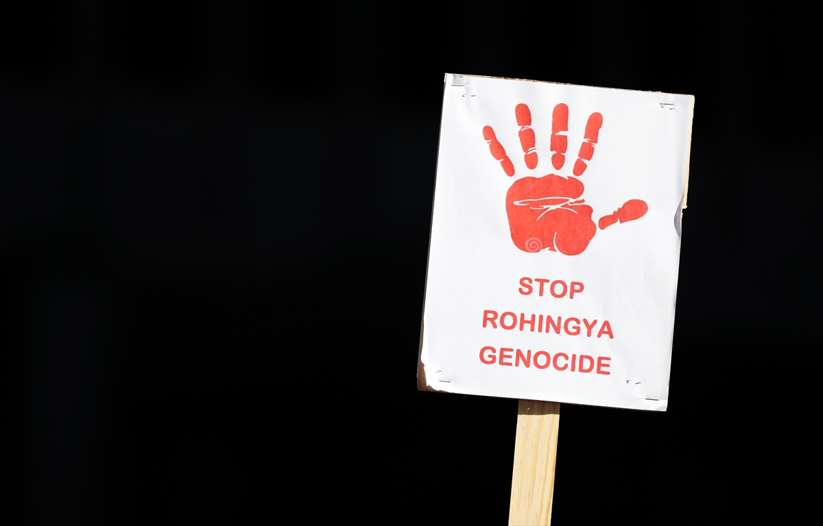 ABD ve Kanada'da Arakan protestosu - 8