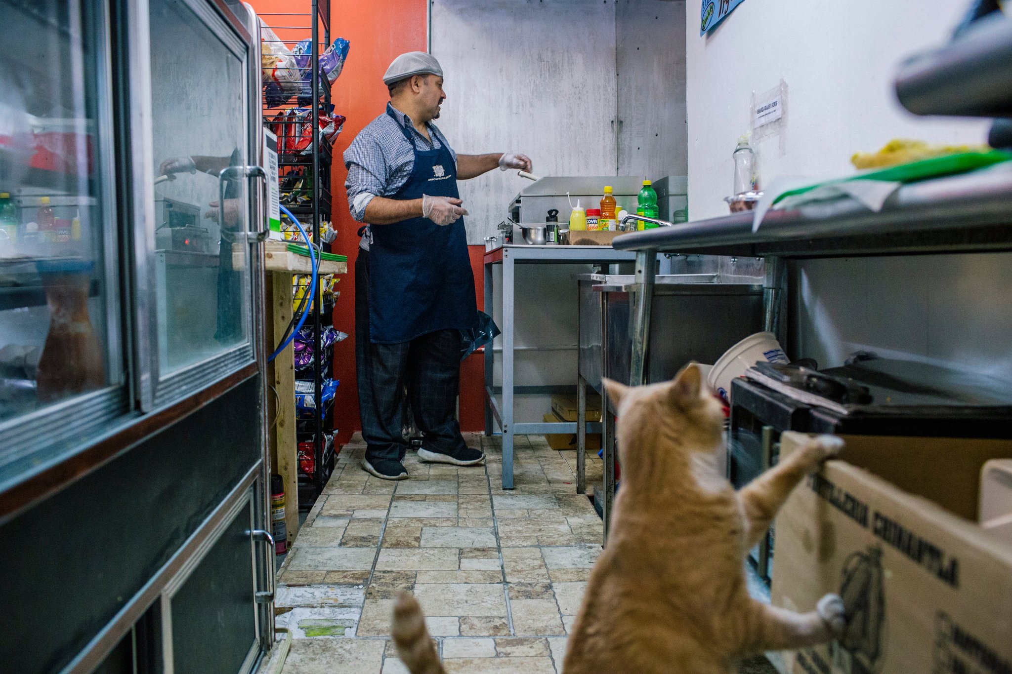 Mısır medyasının analistti ABD'de sandviççi çıktı - 8