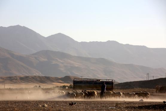Horasanlı göçebeler geleneklerine hala bağlı - 2