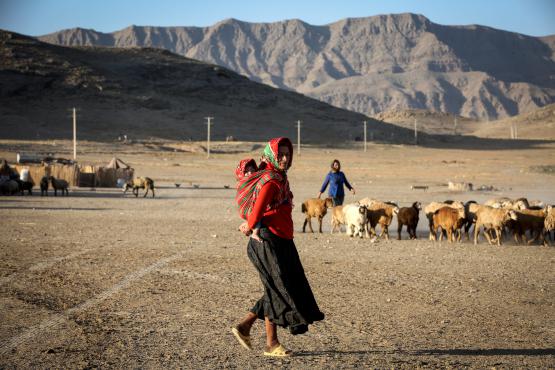 Horasanlı göçebeler geleneklerine hala bağlı - 3