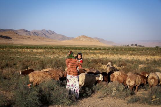 Horasanlı göçebeler geleneklerine hala bağlı - 5