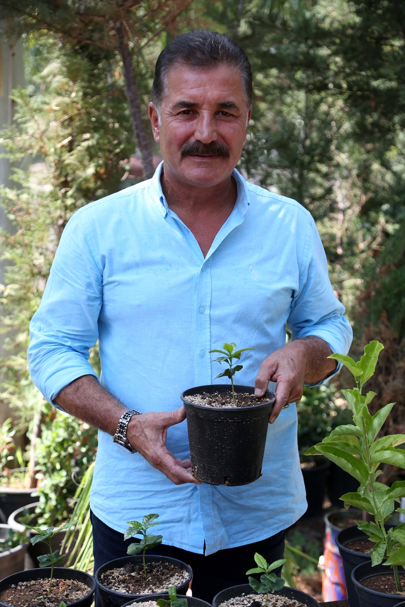 Kahve artık Toroslar'dan gelecek - 0