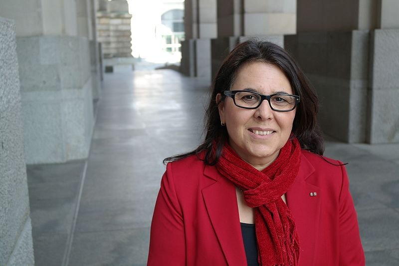 Almanya'da Federal Meclis'e giren Türkiye kökenli milletvekilleri - 6