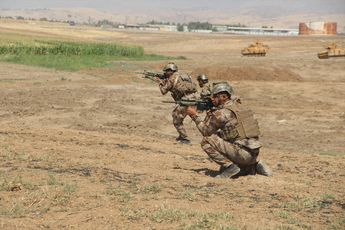 Habur tatbikatı 11. gününde - 0