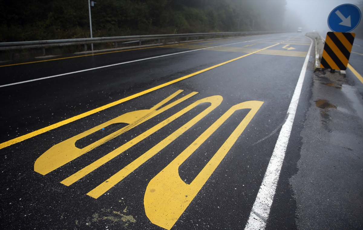 Bolu'da sis etkisi - 0