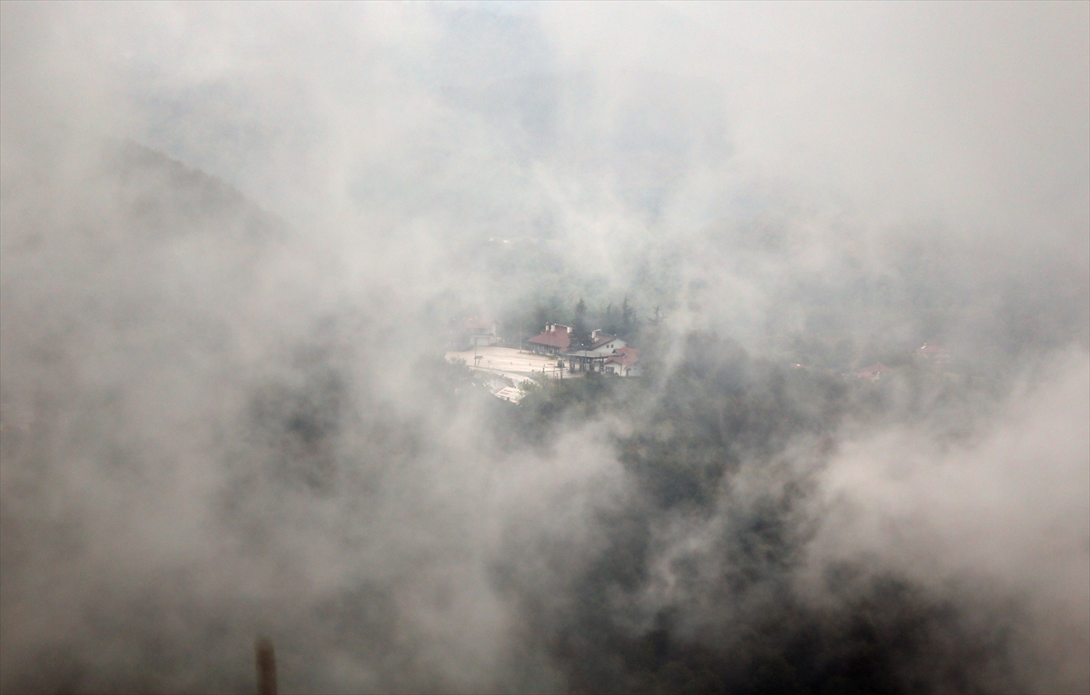 Bolu'da sis etkisi - 0