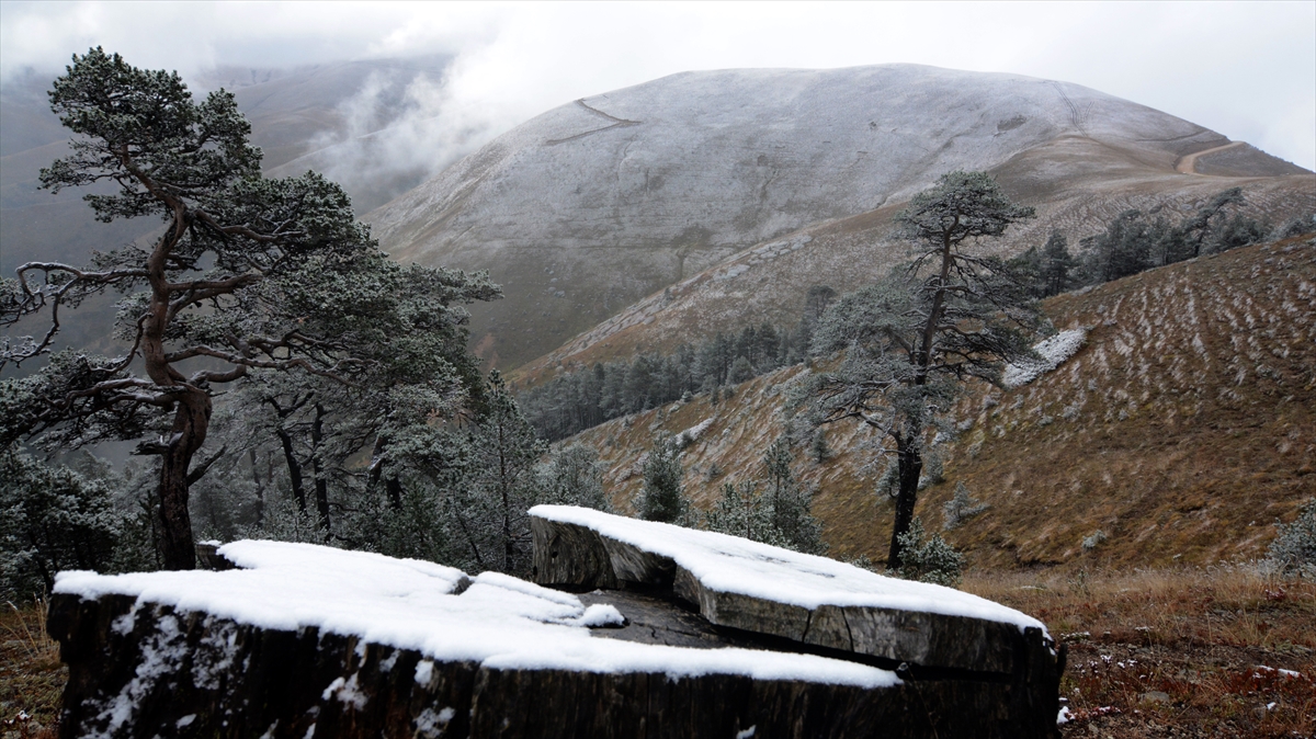 Zigana Dağı'na mevsimin ilk karı yağdı - 0