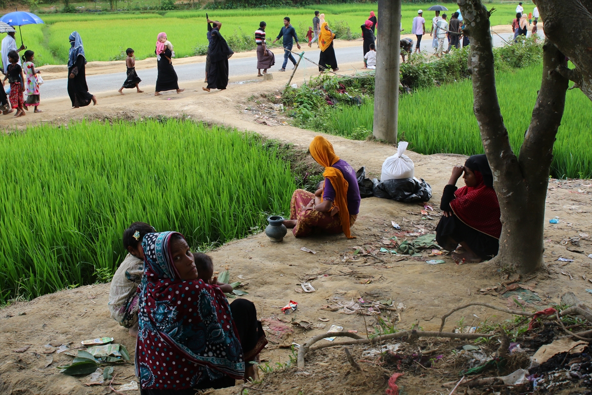 Arakanlı müslümanların yaşam mücadelesi - 0