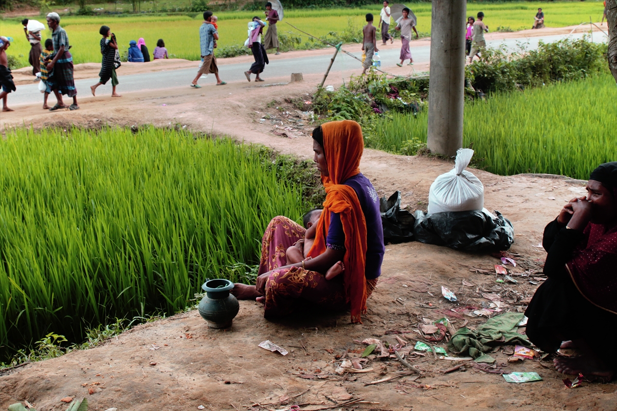 Arakanlı müslümanların yaşam mücadelesi - 0