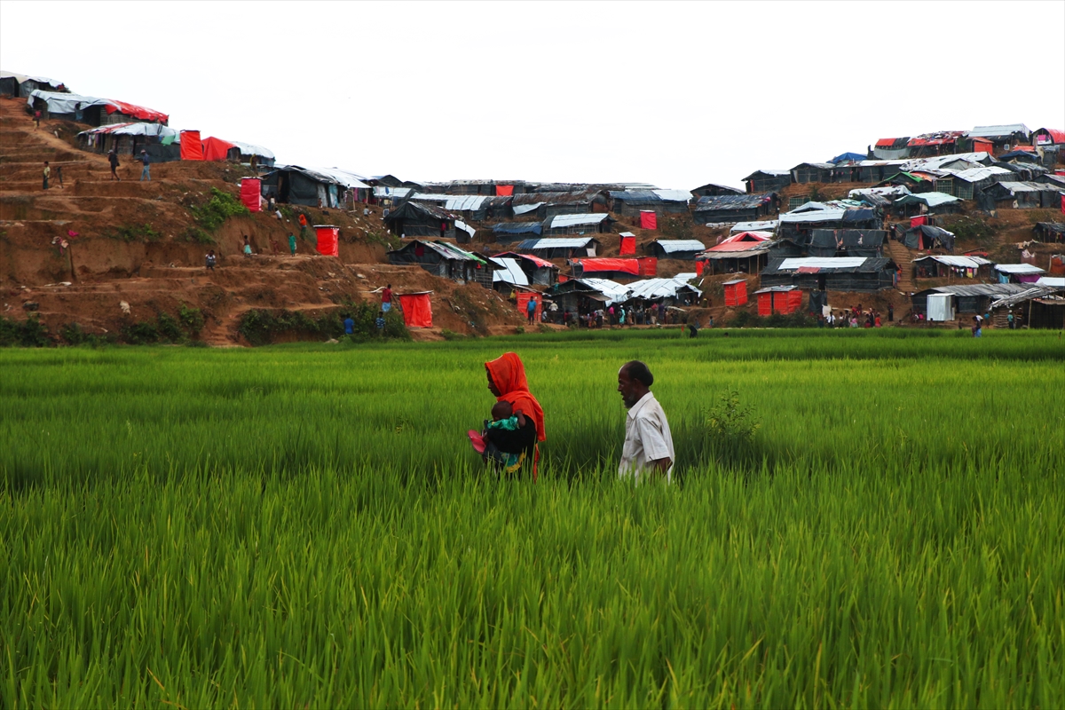 Arakanlı müslümanların yaşam mücadelesi - 0